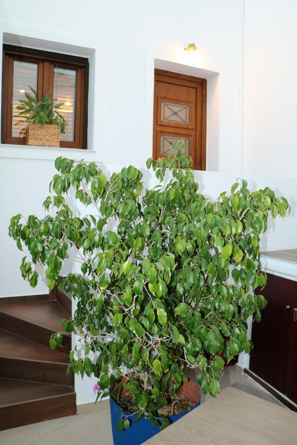 Angelica'S Deluxe Rooms In Adamas Exterior photo